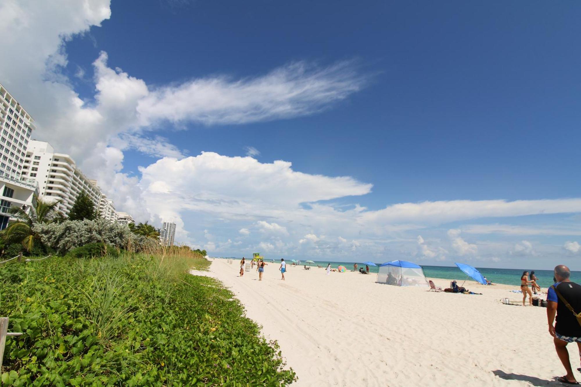 Castle 835 Oceanview Studio On Beach With Pool, Gym, Bars, And Free Parking Miami Beach Eksteriør billede